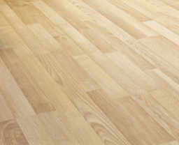 Bauen & Wohnen - Möbel Kreis - Parkett oder Laminat